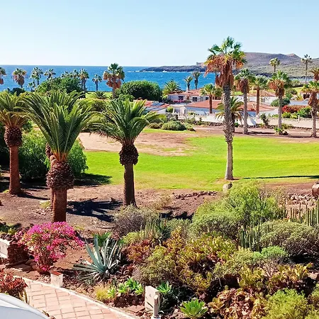 Waves Of Tranquility