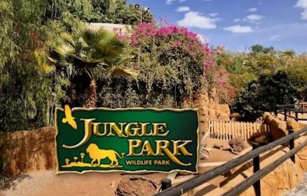 Waves Of Tranquility