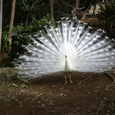 Lejlighed Waves Of Tranquility *