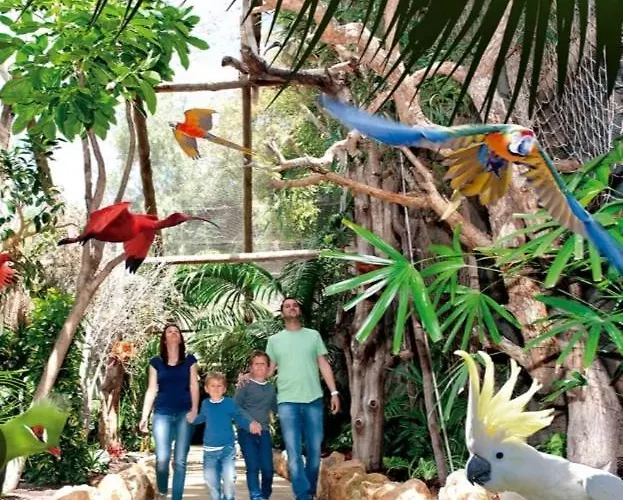 Waves Of Tranquility Apartment *