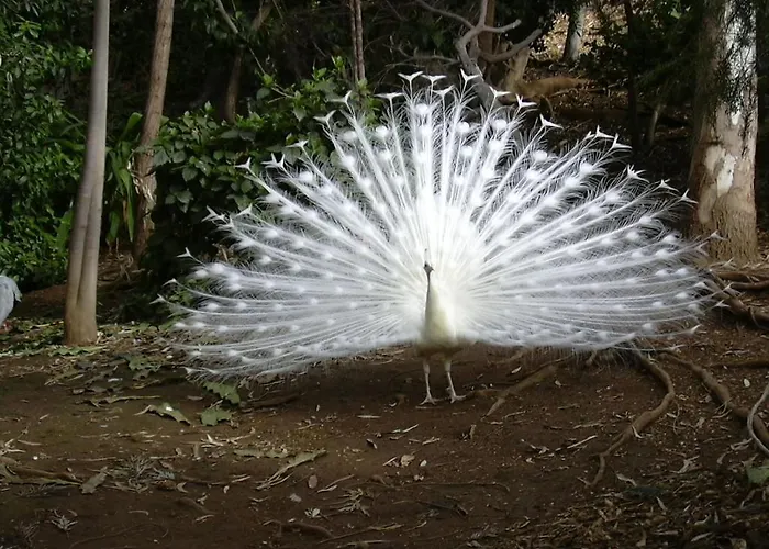 Apartment Waves Of Tranquility *