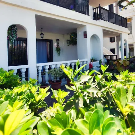 Waves Of Tranquility * San Miguel de Abona